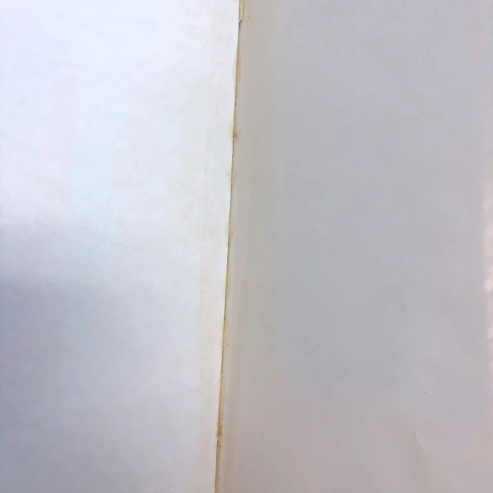 Vintage 1969 Alice in Wonderland Through the Looking Glass Classic Press Book